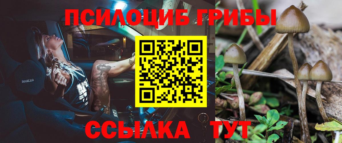 Псилоцибиновые грибы мухоморы  Вход с VPN  Фролово  Галлюциногенные грибы Magic Shrooms 
